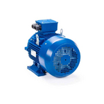 Электродвигатель ESQ 100 LB2 SDN IMB3