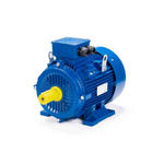 Электродвигатель ESQ 100 LB2 SDN IMB3