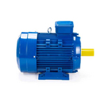 Электродвигатель ESQ 100 LB4 SDN IMB34