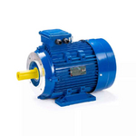 Электродвигатель ESQ 100 LB8 SDN IMB34