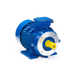 Электродвигатель ESQ 100 LB8 SDN IMB34