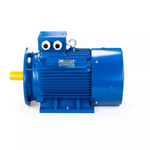 Электродвигатель ESQ 180 L4 SDN IMB35