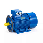 Электродвигатель ESQ 200 L4 SDN IMB35