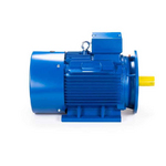 Электродвигатель ESQ 200 LB2 SDN IMB35
