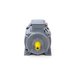 Электродвигатель ESQ PR 100 L6 GST-Б1-S12-IE2 IM1081