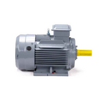 Электродвигатель ESQ PR 100 L6 GST-Б1-S12-IE2 IM1081