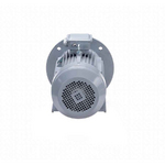 Электродвигатель ESQ PR 100 L6 GST-Б1-S12-IE2 IM2081