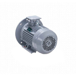 Электродвигатель ESQ PR 100 L6 GST-Б1-S12-IE2 IM2081