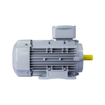 Электродвигатель ESQ PR 100 LB4 SDN Б1-S12-IE3 IMB34