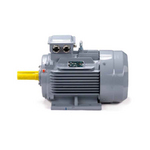 Электродвигатель ESQ PR 100 S2 GST-Б1-S12-IE2 IM1081