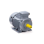 Электродвигатель ESQ PR 112 MА6 GST-Б1-S12-IE2 IM1081