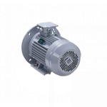 Электродвигатель ESQ PR 112 MА6 GST-Б1-S12-IE2 IM2081