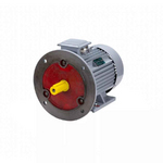 Электродвигатель ESQ PR 112 MА6 GST-Б1-S12-IE2 IM2081