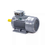 Электродвигатель ESQ PR 112 М2 GST-Б1-S12-IE2 IM1081