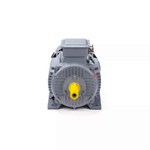 Электродвигатель ESQ PR 112 М2 GST-Б1-S12-IE2 IM1081