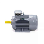 Электродвигатель ESQ PR 112 М2 GST-Б1-S12-IE2 IM1081