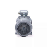 Электродвигатель ESQ PR 112 М2 GST-Б1-S12-IE2 IM1081