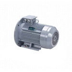 Электродвигатель ESQ PR 112 М2 GST-Б1-S12-IE2 IM2081