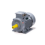 Электродвигатель ESQ PR 132 M4 GST-Б1-S12-IE2 IM1081