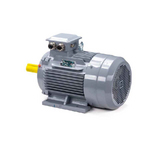 Электродвигатель ESQ PR 132 M4 GST-Б1-S12-IE2 IM1081