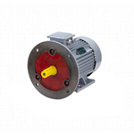 Электродвигатель ESQ PR 132 M4 GST-Б1-S12-IE2 IM2081