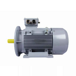 Электродвигатель ESQ PR 160 M4 SDN Б1-S12-IE3 IMB35