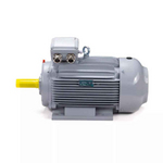 Электродвигатель ESQ PR 160 M6 GST-Б1-S12-IE2 IM2001