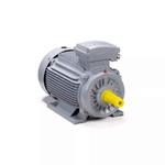 Электродвигатель ESQ PR 160 M6 GST-Б1-S12-IE2 IM2001