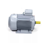 Электродвигатель ESQ PR 180 M2 SDN Б1-S12-IE2 IMB3