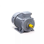 Электродвигатель ESQ PR 180 S4 GST-Б1-S12-IE2 IM1001