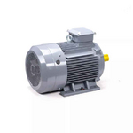 Электродвигатель ESQ PR 180 S4 GST-Б1-S12-IE2 IM1001