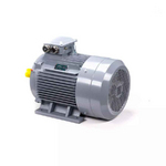 Электродвигатель ESQ PR 200 L6 GST-Б1-S12-IE2 IM1001
