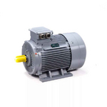 Электродвигатель ESQ PR 200 L6 GST-Б1-S12-IE2 IM1001