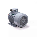 Электродвигатель ESQ PR 200 L6 GST-Б1-S12-IE2 IM1001
