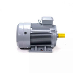 Электродвигатель ESQ PR 200 L6 GST-Б1-S12-IE2 IM1001