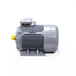 Электродвигатель ESQ PR 200 L6 GST-Б1-S12-IE2 IM1001