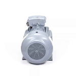 Электродвигатель ESQ PR 200 LB6 SDN Б1-S12-IE3 IMB3