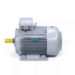 Электродвигатель ESQ PR 200 LB6 SDN Б1-S12-IE3 IMB3
