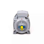 Электродвигатель ESQ PR 200 LB6 SDN Б1-S12-IE3 IMB3