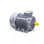 Электродвигатель ESQ PR 200 M6 GST-Б1-S12-IE2 IM1001
