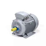 Электродвигатель ESQ PR 250 M2 SDN Б1-S12-IE2 IMB3
