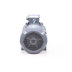 Электродвигатель ESQ PR 250 S2 GST-Б1-S12-IE2 IM1001