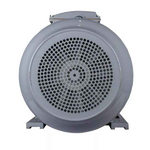 Электродвигатель ESQ PR 280 S4 SDN Б1-S12-IE2 IMB3