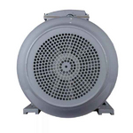 Электродвигатель ESQ PR 280 S6 SDN Б1-S12-IE2 IMB3