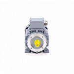 Электродвигатель ESQ PR 80 A4 SDN Б1-S12-IE2 IMB34