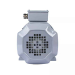 Электродвигатель ESQ PR 80 В2 GST-Б1-S12-IE2 IM2081
