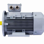 Электродвигатель ESQ PR 90 L6 GST-Б1-S12-IE2 IM2081