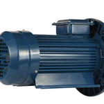 Электродвигатель 5АИ 56 А4 на лапах с фланцем