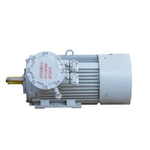 Электродвигатель 2АИМУР 315 М6 IM1001