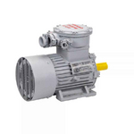 Электродвигатель АИМУР 160 S6 IM1081